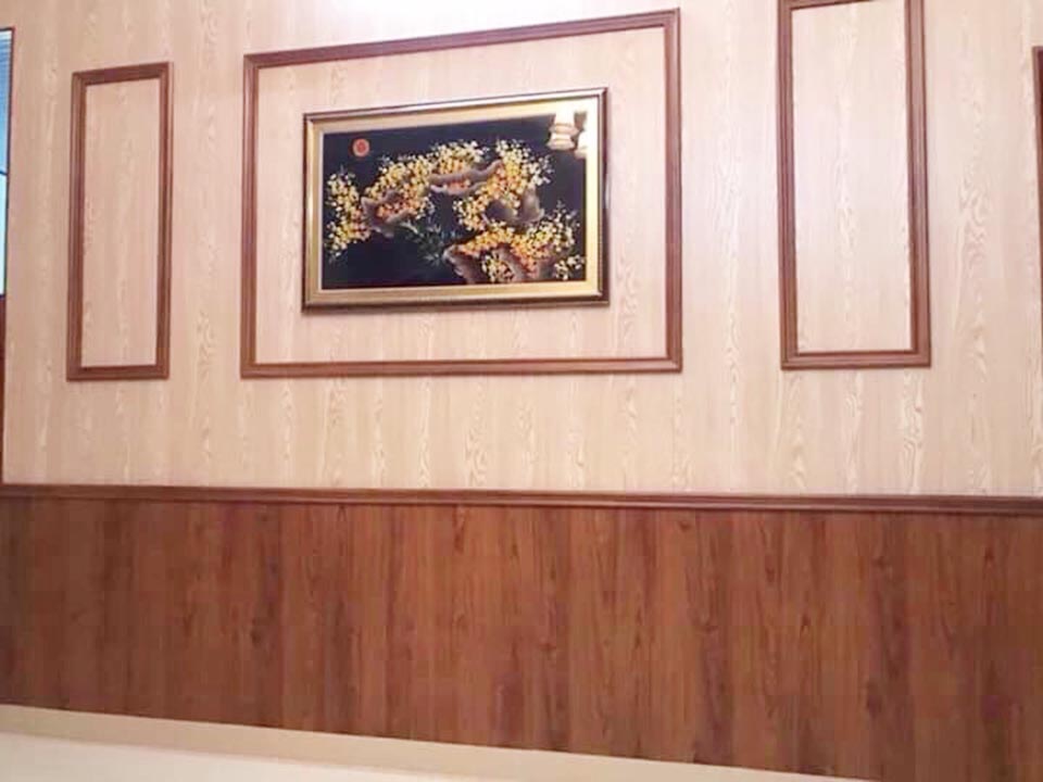 Ốp Tường Nhựa Nano - Ảnh 2